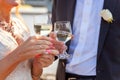 Hands of bride and groom clink glasses with champagne Royalty Free Stock Photo