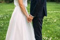 Hands of bride and groom. New young couple holding hands after their wedding. Young married couple holding hands, ceremony wedding