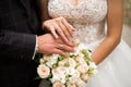 Hands of bride and groom with rings on wedding bouquet. Marriage concept Royalty Free Stock Photo
