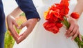 Hands of bride and groom in a shape of heart. Wedding ,love,heartconcept. In the hands of the bride bouquet of poppies. Wedding c Royalty Free Stock Photo