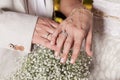 Hands of the bride and groom showing their wedding rings Royalty Free Stock Photo