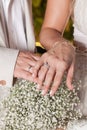 Hands of the bride and groom showing their wedding rings Royalty Free Stock Photo