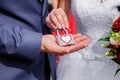 Hands of bride and groom with vintage lock