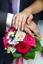 Hands of bride and groom with wedding gold ring Royalty Free Stock Photo