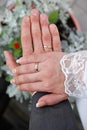 Hands of bride and groom in wedding rings Royalty Free Stock Photo