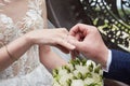 hands of bride and groom with wedding rings on the background of the bouquet. wedding traditions Royalty Free Stock Photo