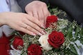 Hands of the bridegroom and bride Royalty Free Stock Photo