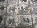 Hands of Buddhist nuns who lived in the temple molded into the pavement of Wat Sam Phran Temple Royalty Free Stock Photo