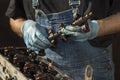 Hands of the car mechanic in disposable gloves hold the engine element. Engine overhaul, car engine disassembly. Royalty Free Stock Photo