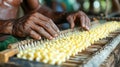 Hands carefully arranging silk cocoons on a loom Royalty Free Stock Photo
