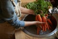 Hands, carrots and washing in sink as vegetable nutrition for wellness ingredient for healthy, salad or organic. Chef Royalty Free Stock Photo