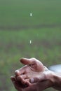 Hands catching raindrops Royalty Free Stock Photo