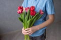 In the hands of a child are colorful red tulips. boy gives flowers Royalty Free Stock Photo