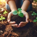 Hands child holding young plants on the back soil in the nature park of growth of plant. Royalty Free Stock Photo
