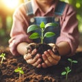 Hands child holding young plants on the back soil in the nature park of growth of plant Royalty Free Stock Photo
