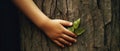 The Hands Of A Child Hugging A Tree, Showcasing Love For Nature Royalty Free Stock Photo