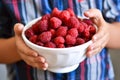 In the hands of a child juicy, fresh raspberries in a bowl Royalty Free Stock Photo