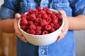 In the hands of a child juicy, fresh raspberries in a bowl Royalty Free Stock Photo