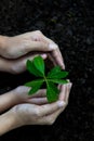 Hands child and mother holding young plants on the back soil in the nature park of growth of plant for reduce global warming. Royalty Free Stock Photo