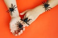 Hands of a child playing with black rubber spiders toys on orange paper background. Halloween october concept.