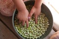 hands of a child playing in  bowl full of peas Royalty Free Stock Photo