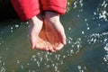 Hands of child with water from river. Water aid, world concept. Royalty Free Stock Photo