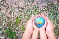 Hands of children and adults embrace the world. Grass background with small white flowers blurred. Concept of preserving the world