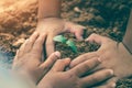 The hands of children are collaborating to grow forests back to nature, Wild plant concept