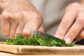 Hands chopping fresh dill on the cutting board Royalty Free Stock Photo