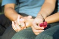 Hands Clasping a Red Flower Royalty Free Stock Photo