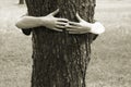 Hands clasping the tree