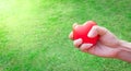 Hands clenched with red heart, in the background of a bright green grass garden Royalty Free Stock Photo