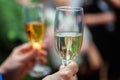 Hands clink glasses with champagne Royalty Free Stock Photo