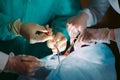 Hands close-up of surgeons holding medical instruments. The surgeon makes an operation Royalty Free Stock Photo
