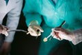 Hands close-up of surgeons holding medical instruments. The surgeon makes an operation Royalty Free Stock Photo