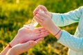 Hands closeup of child in a blue dress with mother applying antiseptic antibacterial gel in summer day in field greens