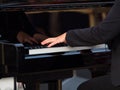 Hands of a concert pianist playing a grand piano Royalty Free Stock Photo