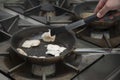 Hands cook, fry in a frying pan chicken Royalty Free Stock Photo