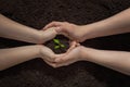 Hands of a couple with a green sprout in the soil, plant a tree together, save nature, earth day background, new life concept Royalty Free Stock Photo