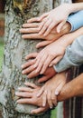 hands couples three generations family tree conceptual Royalty Free Stock Photo