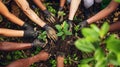 Hands covered in soil, people from different backgrounds work together in a community garden, planting for a greener