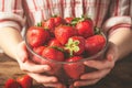 Hands cradle a bowl of luscious strawberries, a tempting summer treat