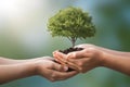 Hands cradle a tree and globe, showcasing Earths connection to nature and environment