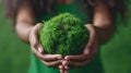 Hands cradling a mossy globe.AI generated image Royalty Free Stock Photo