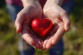 Hands cradling a red heart, symbolizing the love and care at the heart of blood and organ donation. Metaphor for the Royalty Free Stock Photo