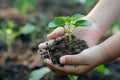 Hands cradling young plant in soil, symbol of growth, nurture