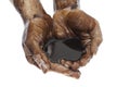 Hands cupped with black petroleum