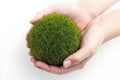 Hands cupping the earth on a green background convey the message of protecting nature and saving the planet, emphasizing Royalty Free Stock Photo