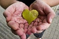 Hands Cupping Heart-shaped Leaf Royalty Free Stock Photo