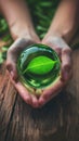 hands cupping a luminous green crystal sphere a leaf in focus on earthy background optimism copyspace concept of conservation Royalty Free Stock Photo